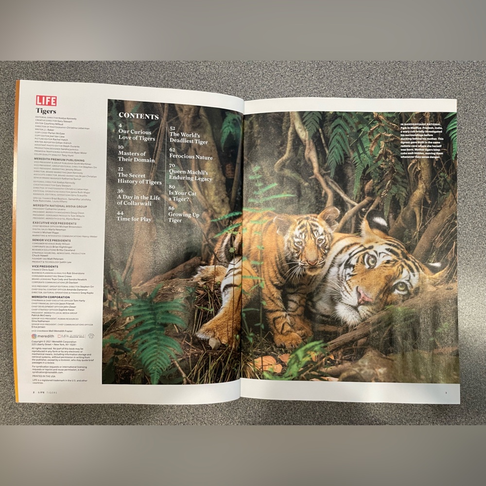 LIFE Magazine: Tigers Edition 2021 - Picture 3 of 3